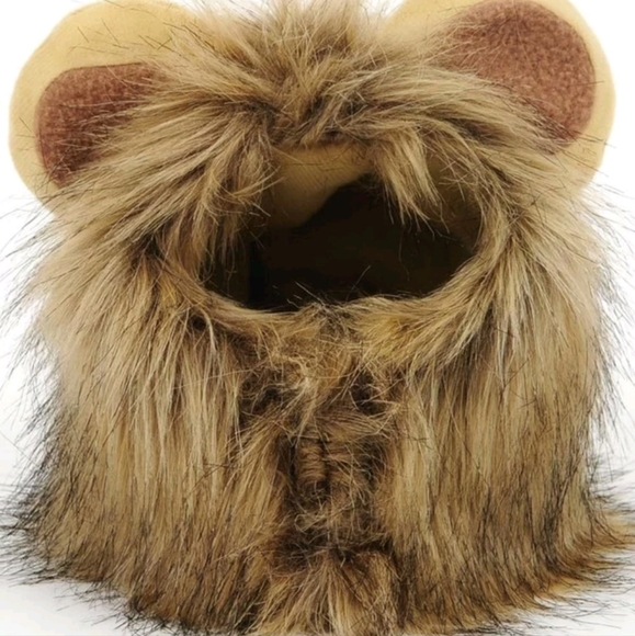 Lion hat for small pets - Picture 3 of 4